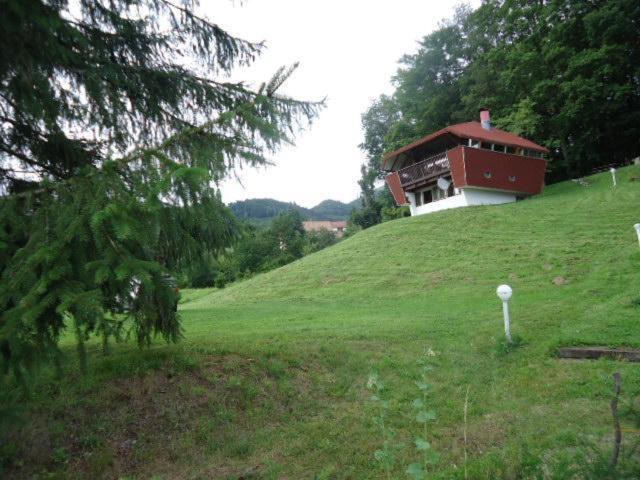 Chalet Contemporain Plein Nature Altenbach Dış mekan fotoğraf