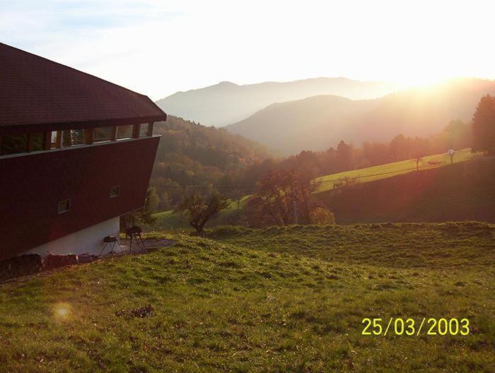 Chalet Contemporain Plein Nature Altenbach Dış mekan fotoğraf